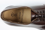 Sutor Mantellassi Shoes, Chestnut brown derby